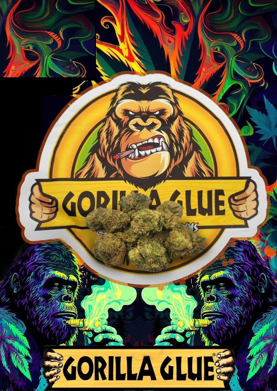 Gorilla Glue