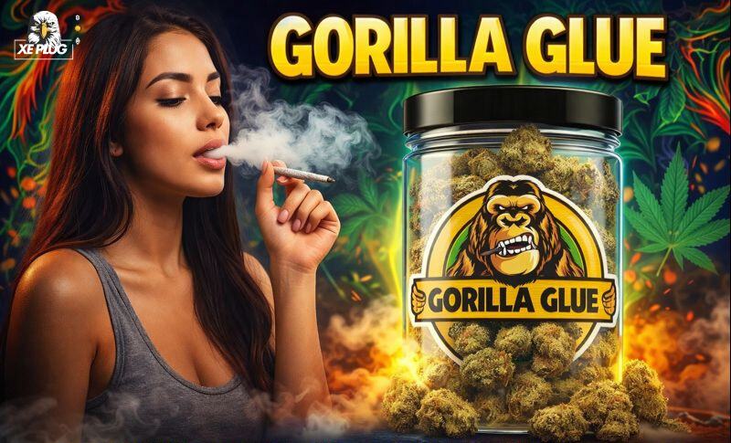 Gorilla Glue – A Detailed Guide